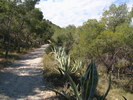 Ausgedehnte Wanderwege in der Sierra de Alicante
